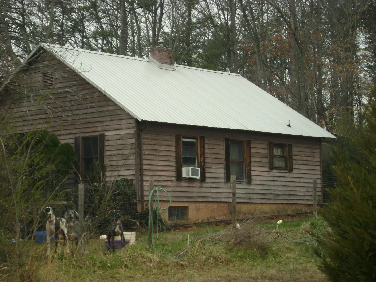 White metal roof on an old wood sided farmhouse, from a Metal Roof Installation job in Muir